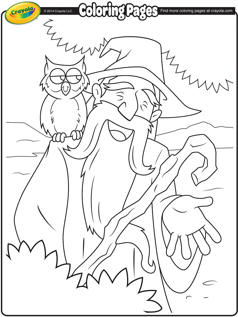 Wizard and His Owl