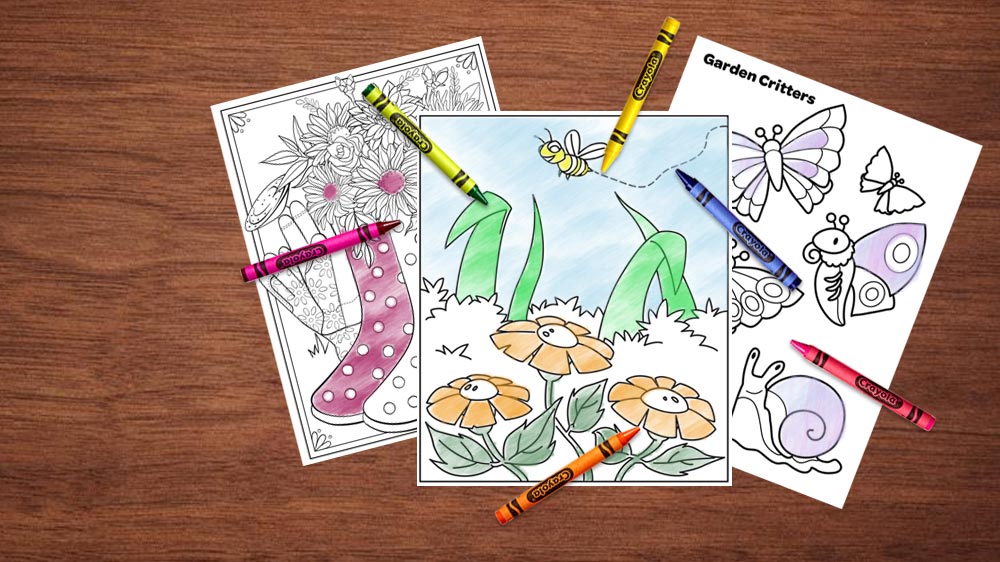 Spring colouring pages