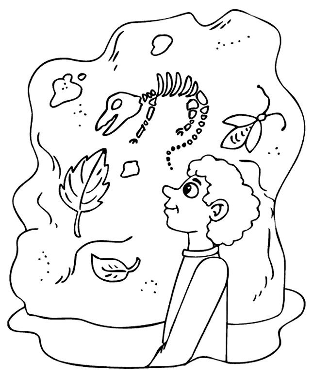 Museum Dinosaurs