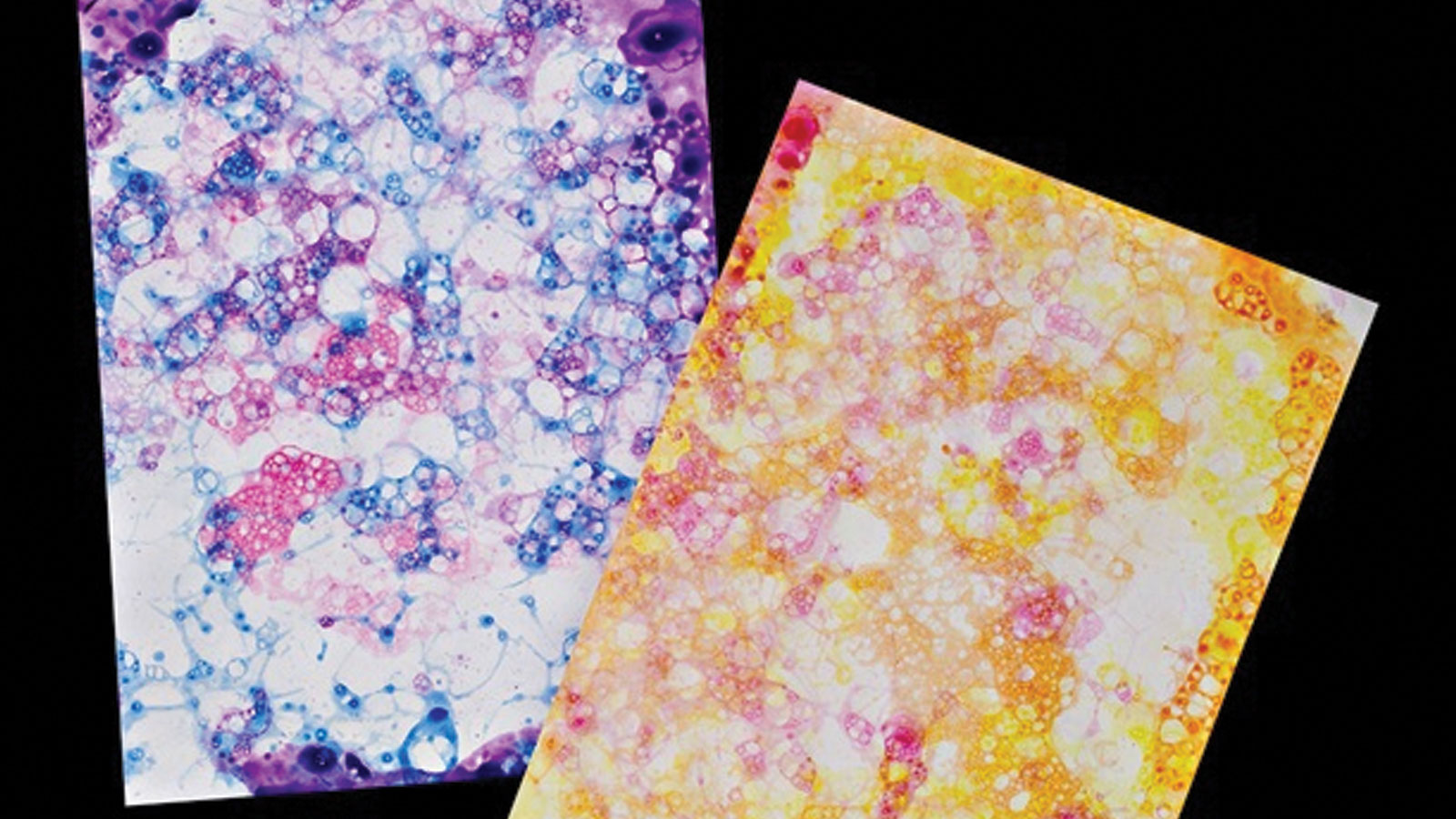 Estampados de burbujas