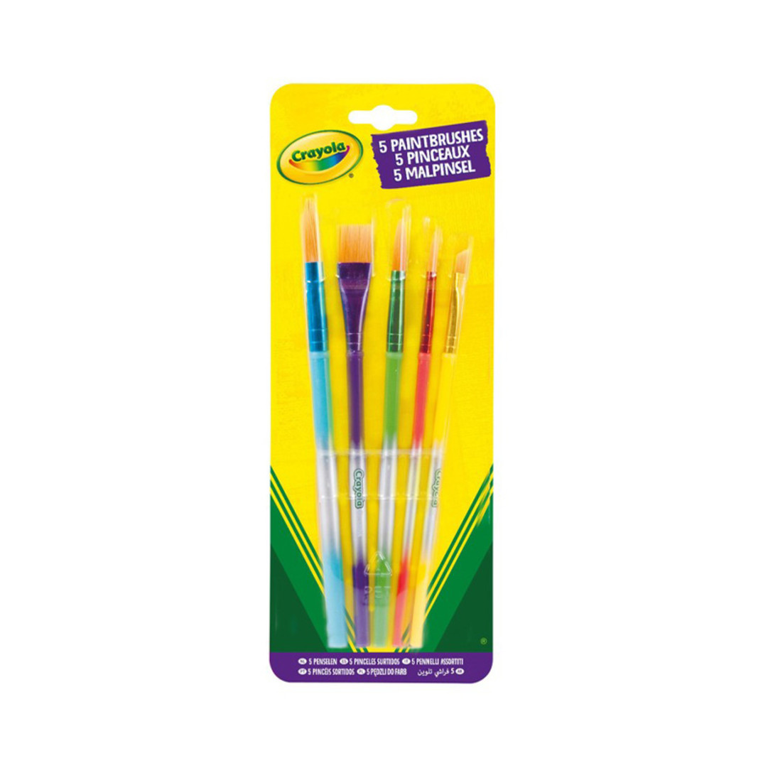 5 Pennelli Assortiti vista frontale