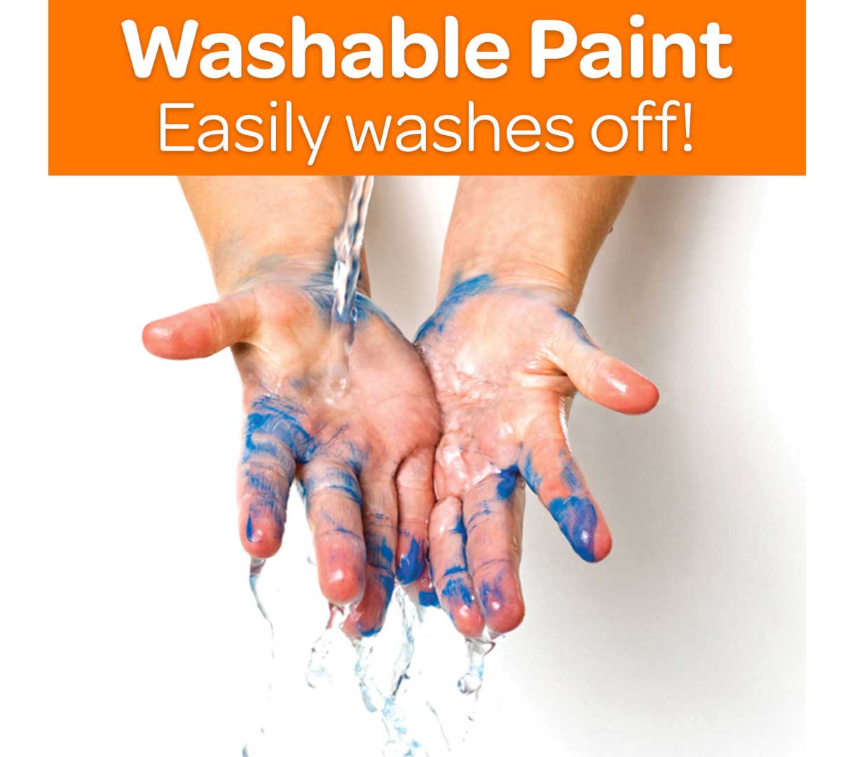 Washable Paint 12 count  16 ounce bottles. Washable paint easily washes off!
